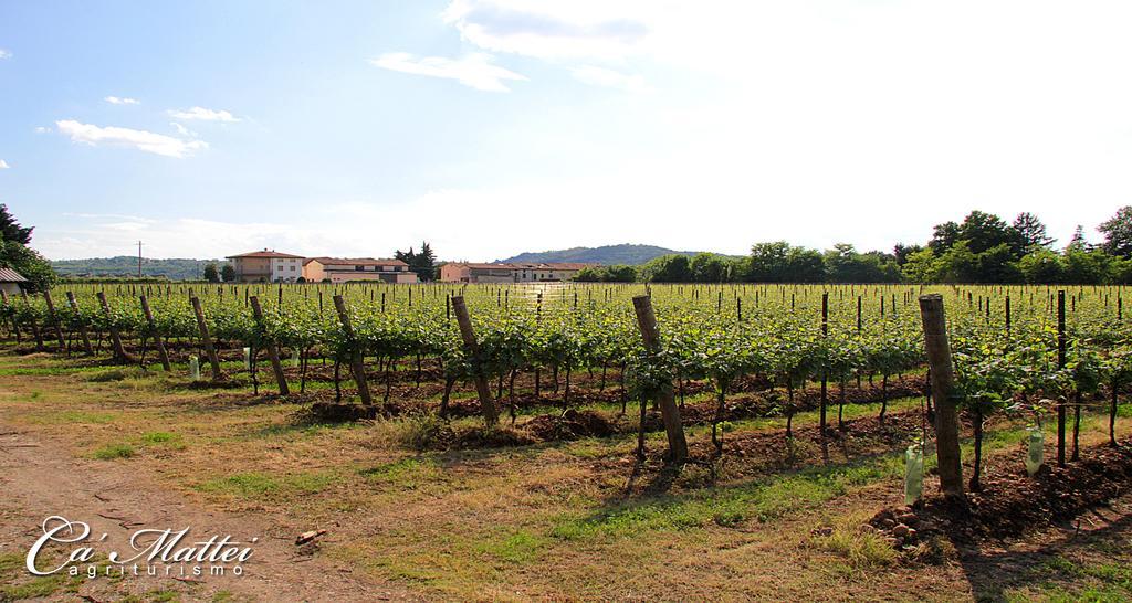 Agriturismo Ca'Mattei Pescantina ภายนอก รูปภาพ